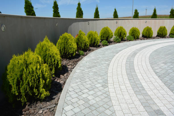 Professional Driveway Pavers in Vallejo, CA